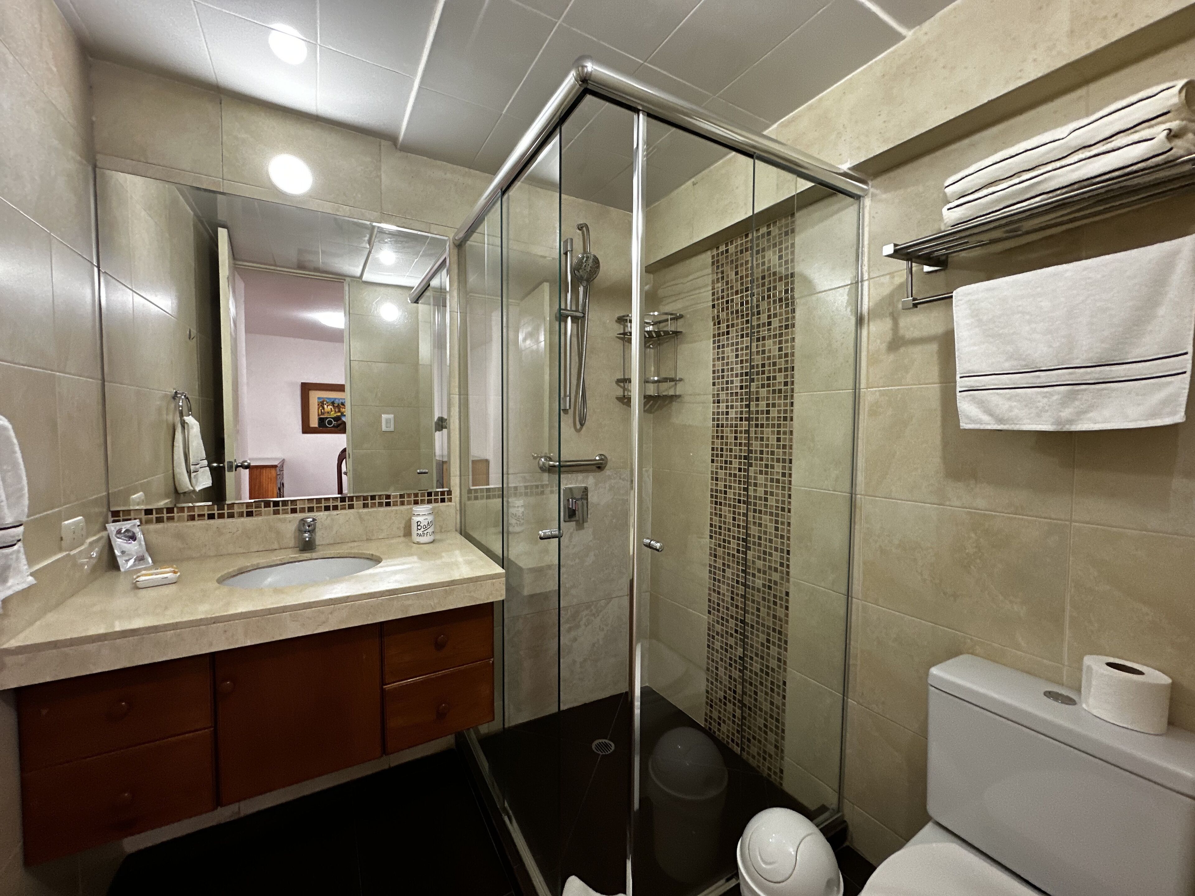 Business Apartment, 1 Queen Bed, Housekeeping, Executive Level | Bathroom | Shower, rainfall showerhead, hair dryer, towels