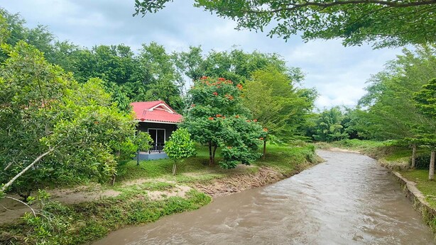 A river flowing through a lush area with a small building with a red roof. - The Creek Resort (Doi Tao)
