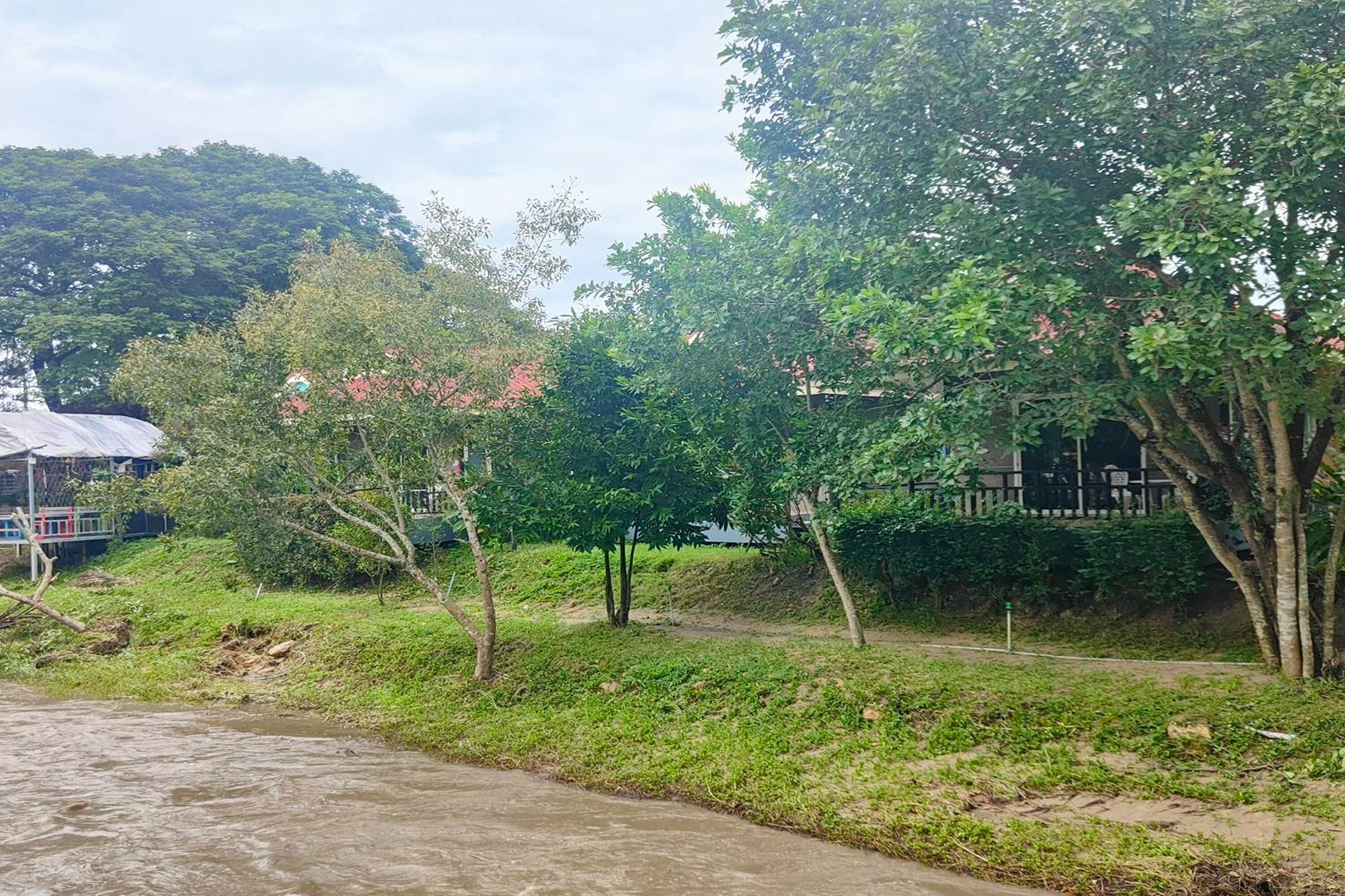 Une rive de rivière bordée d’arbres, avec un bâtiment en arrière-plan.