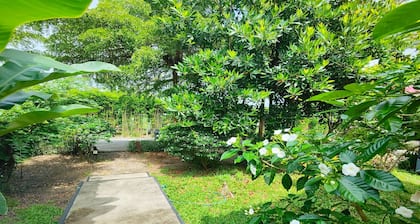 The Creek Resort