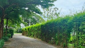 A gravel road flanked by dense greenery and trees. - The Creek Resort (Doi Tao)