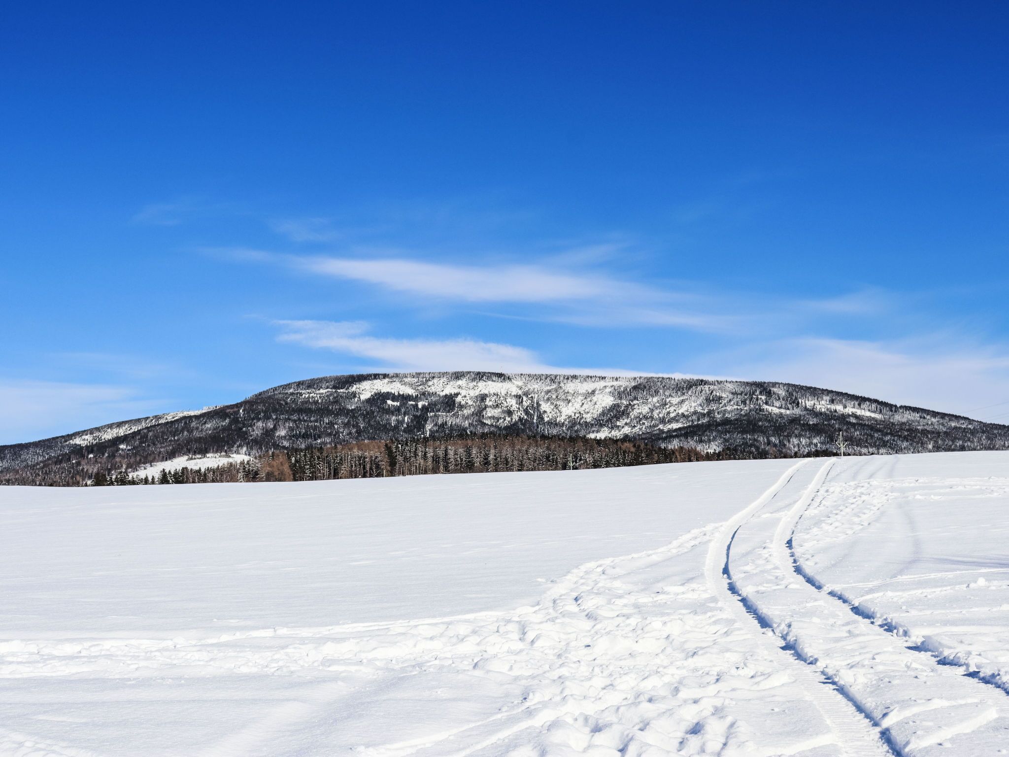 Sne- og skisport