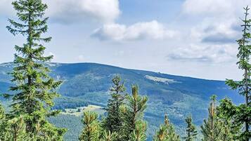 Eine gebirgige Landschaft mit dichten Wäldern und blauem Himmel.