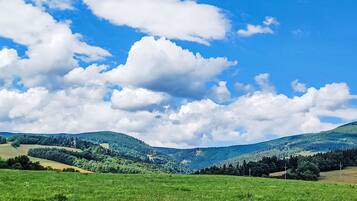 A panoramic view of a green valley with rolling hills and a clear blue sky with clouds.