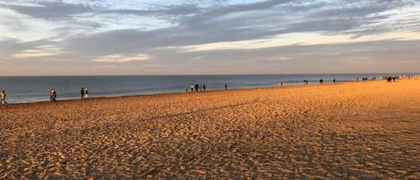 Plage à proximité