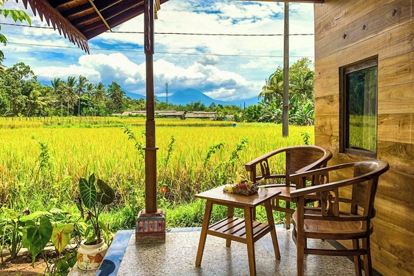 Villa with Pool View | View from room