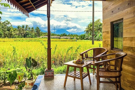 Villa with Pool View | View from room