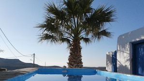 A clear blue swimming pool with a palm tree in the center, surrounded by a white building with blue accents.