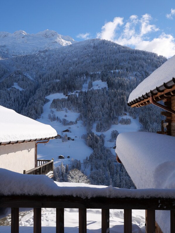 Property grounds - Chalet "Mirantin" (2 guests) (Hauteluce)