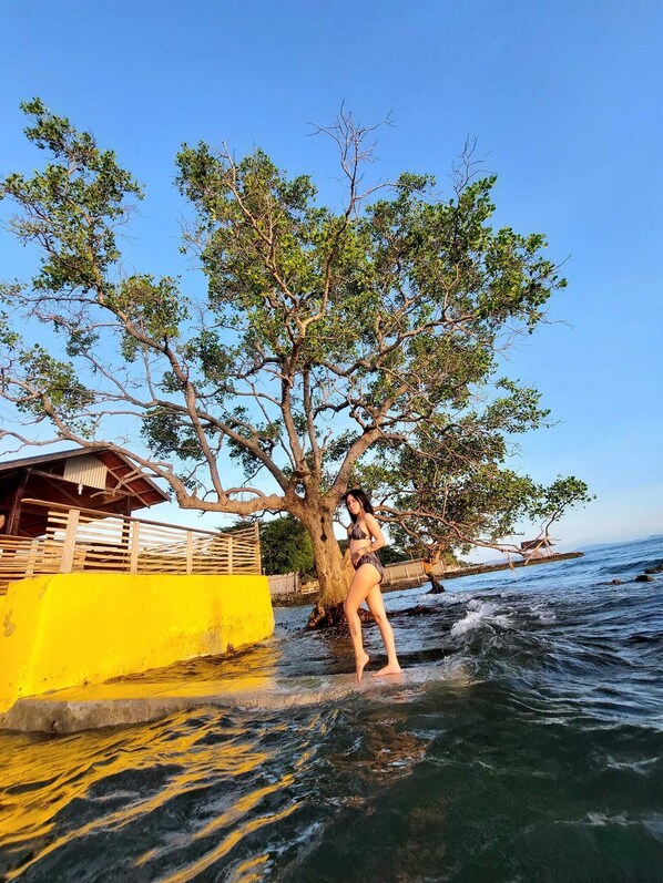 واجهة المنشأة