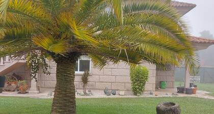 Apartamento a 10 Min. del Centro de Vigo, Ideal Para Conocer Galicia