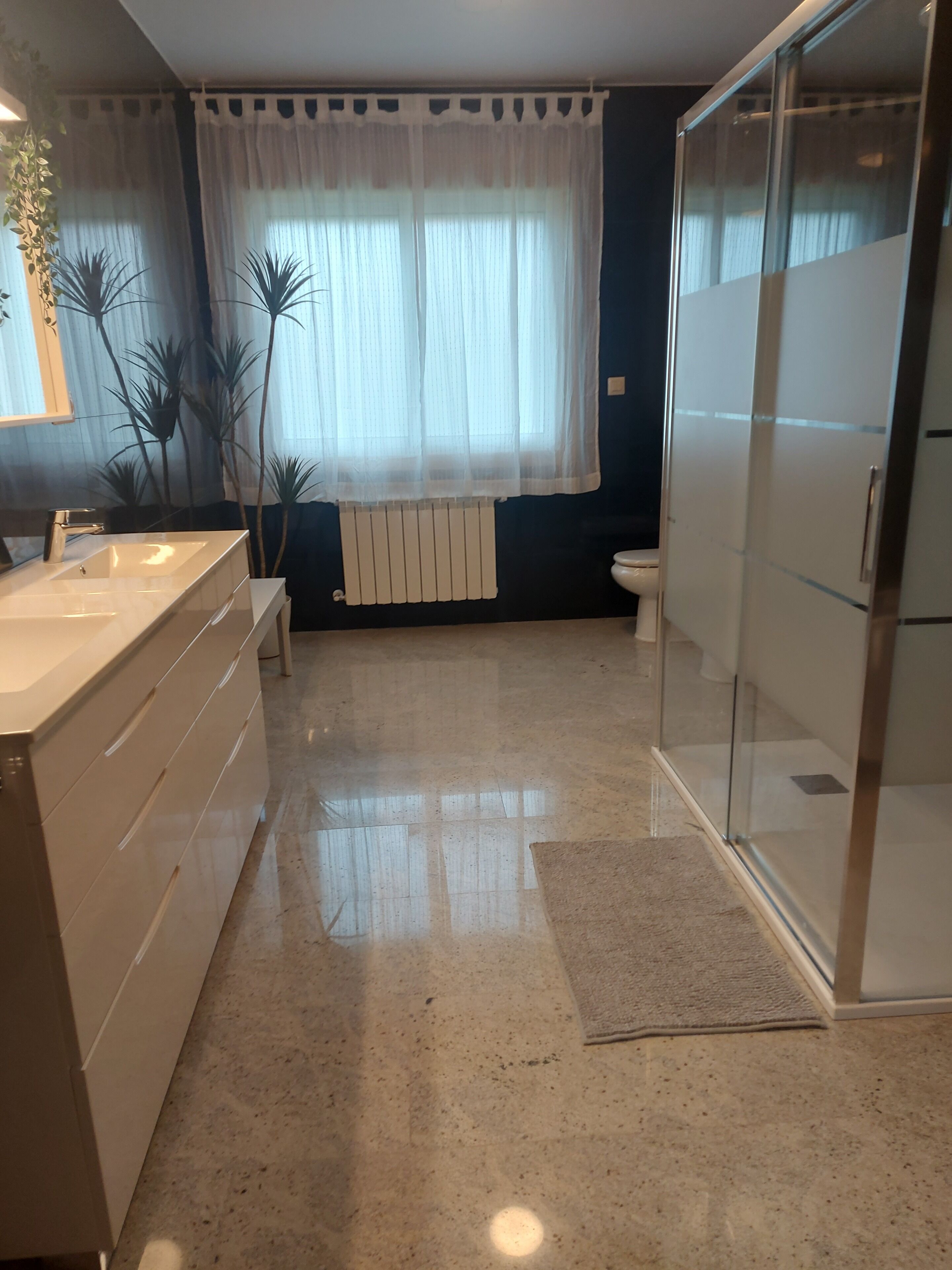 Shower, free toiletries, hair dryer, bidet