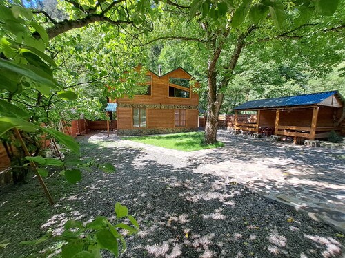 Borjomi in likani. National park of borjom kharagauli. Mountain forest hiking