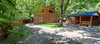Borjomi in likani. National park of borjom kharagauli. Mountain forest hiking