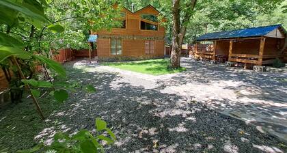 Borjomi in likani. National park of borjom kharagauli. Mountain forest hiking