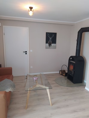 Smart TV, fireplace, table tennis, books