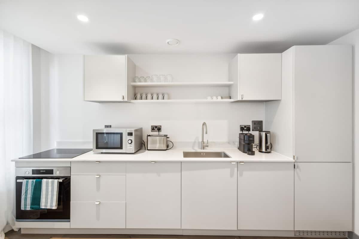 Superior appartement | Privékeuken | Een koelkast/vriezer, een magnetron, een oven, een kookplaat