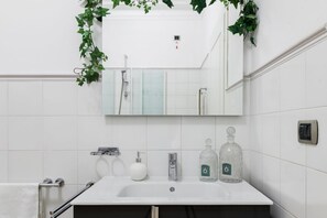 Shower, hair dryer, bidet, towels