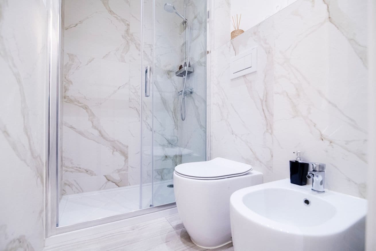 Shower, hair dryer, bidet, towels