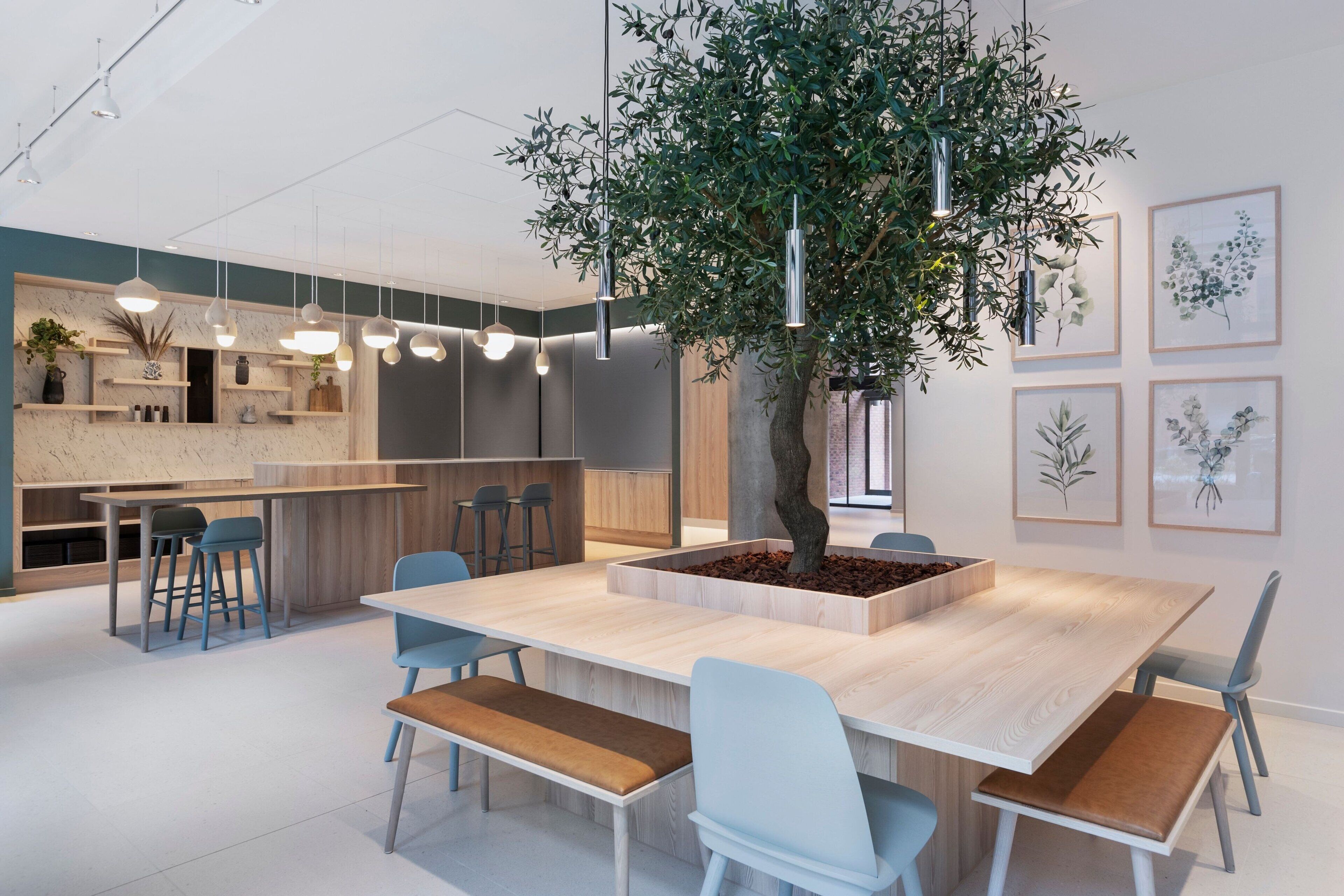 A modern dining area with a central wooden table, light blue chairs, and a large tree planter.