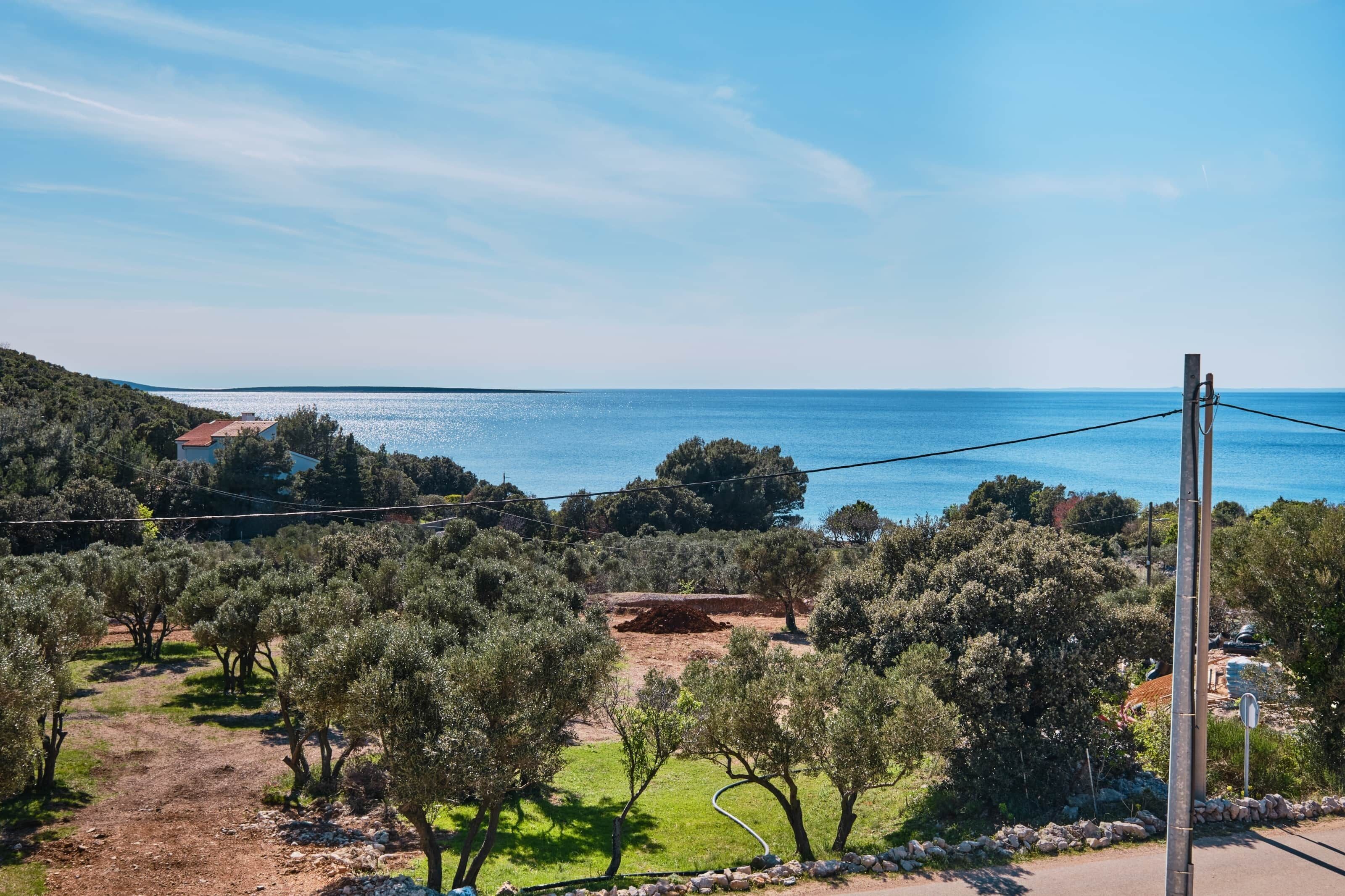 A coastal landscape with olive groves, a clear sky, and a distant view of the sea.