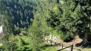 A wooden staircase leading up a hill, surrounded by greenery and trees. - Large, very bright chalet for 8 people with large terrace, garden and a beautiful open view.Interior (St-Luc)