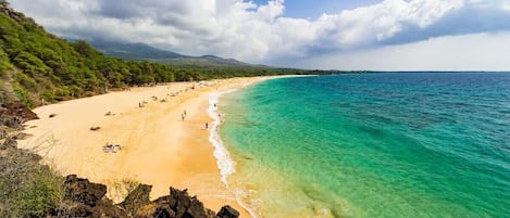 Chaises longues, serviettes de plage