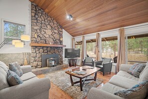 Télévision, cheminée