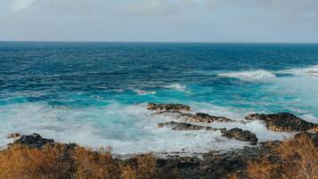 A coastal landscape with a rocky shoreline and cacti in the foreground.