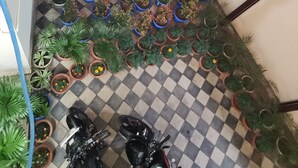 Interior detail - Clover Villa Hotels (Bhubaneshwar)