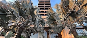 Flat Ipanema - Vieira Souto 500