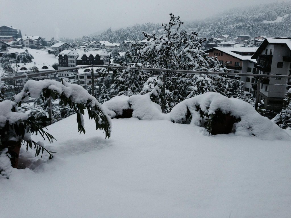 Flierelerhof