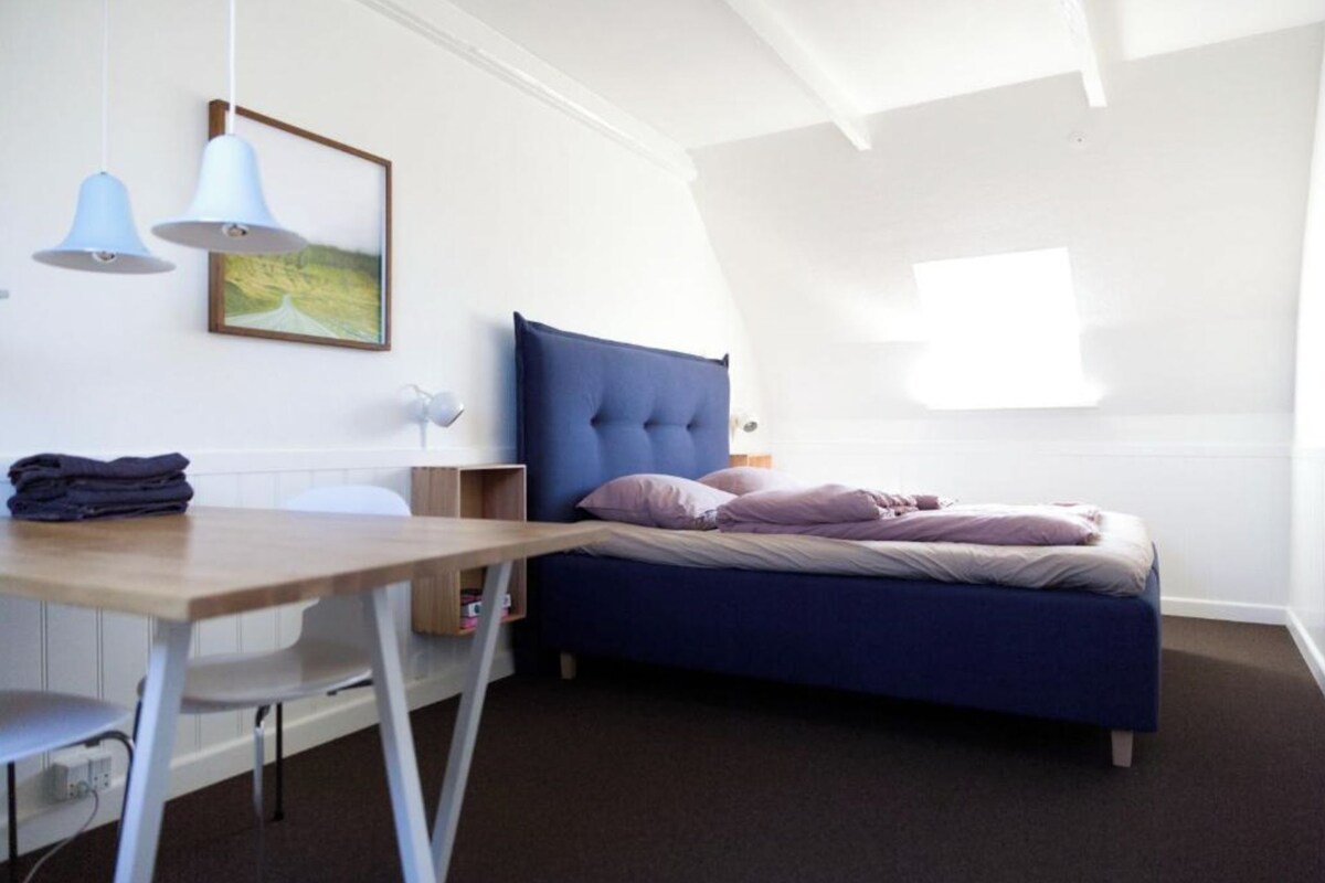 Habitación básica, baño compartido | Tabla de planchar con plancha, wifi gratis, decoración individual