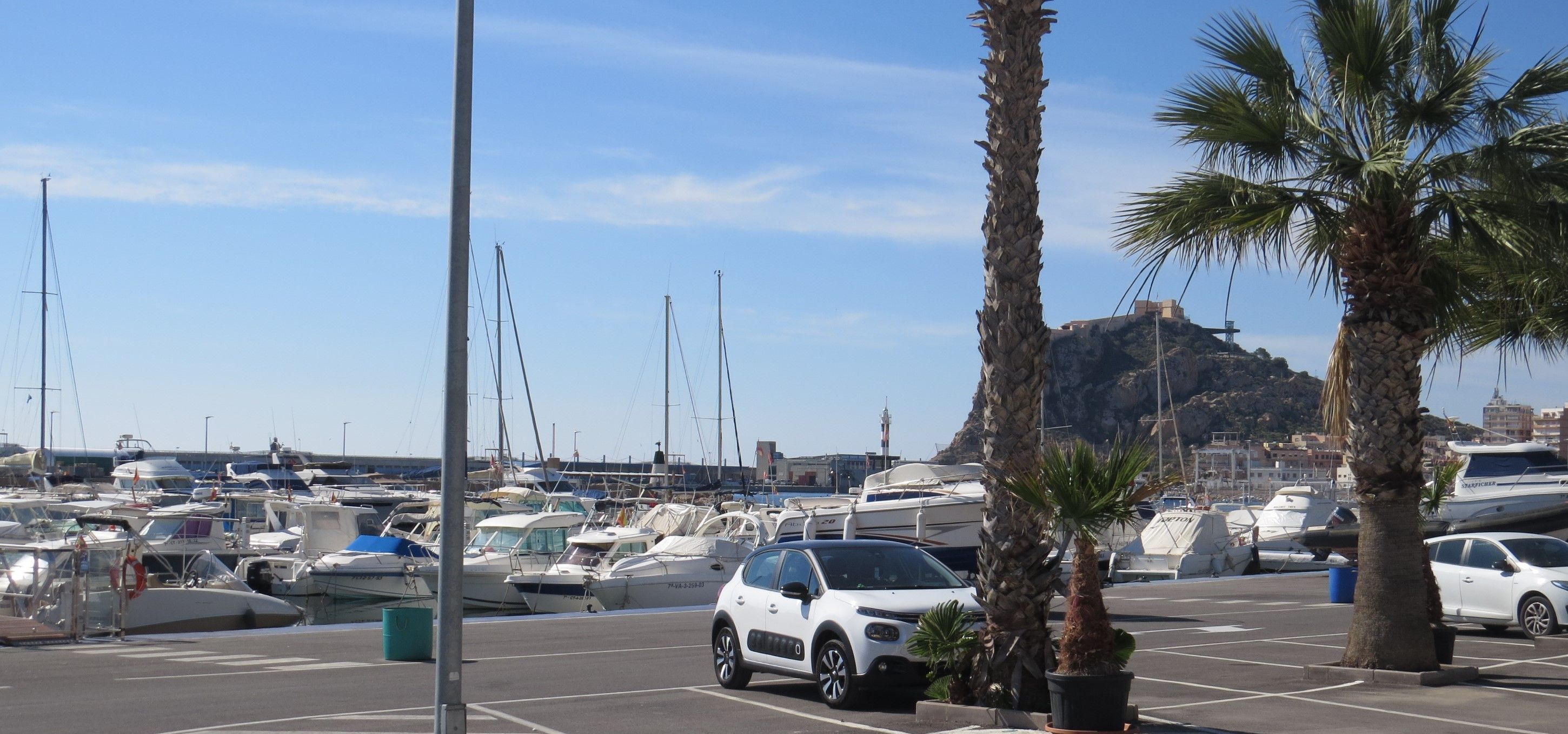 Un puerto deportivo con barcos amarrados, un coche blanco estacionado y palmeras.