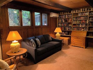 TV connectée, cheminée, livres