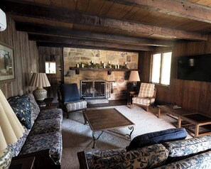 Smart TV, fireplace, books