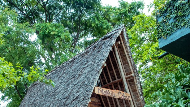 Exterior - CHARMING ECO-HOMESTAY NEAR KILIMANJARO (Arusha)