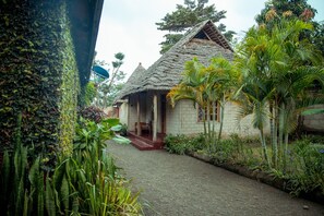 Ngoại thất