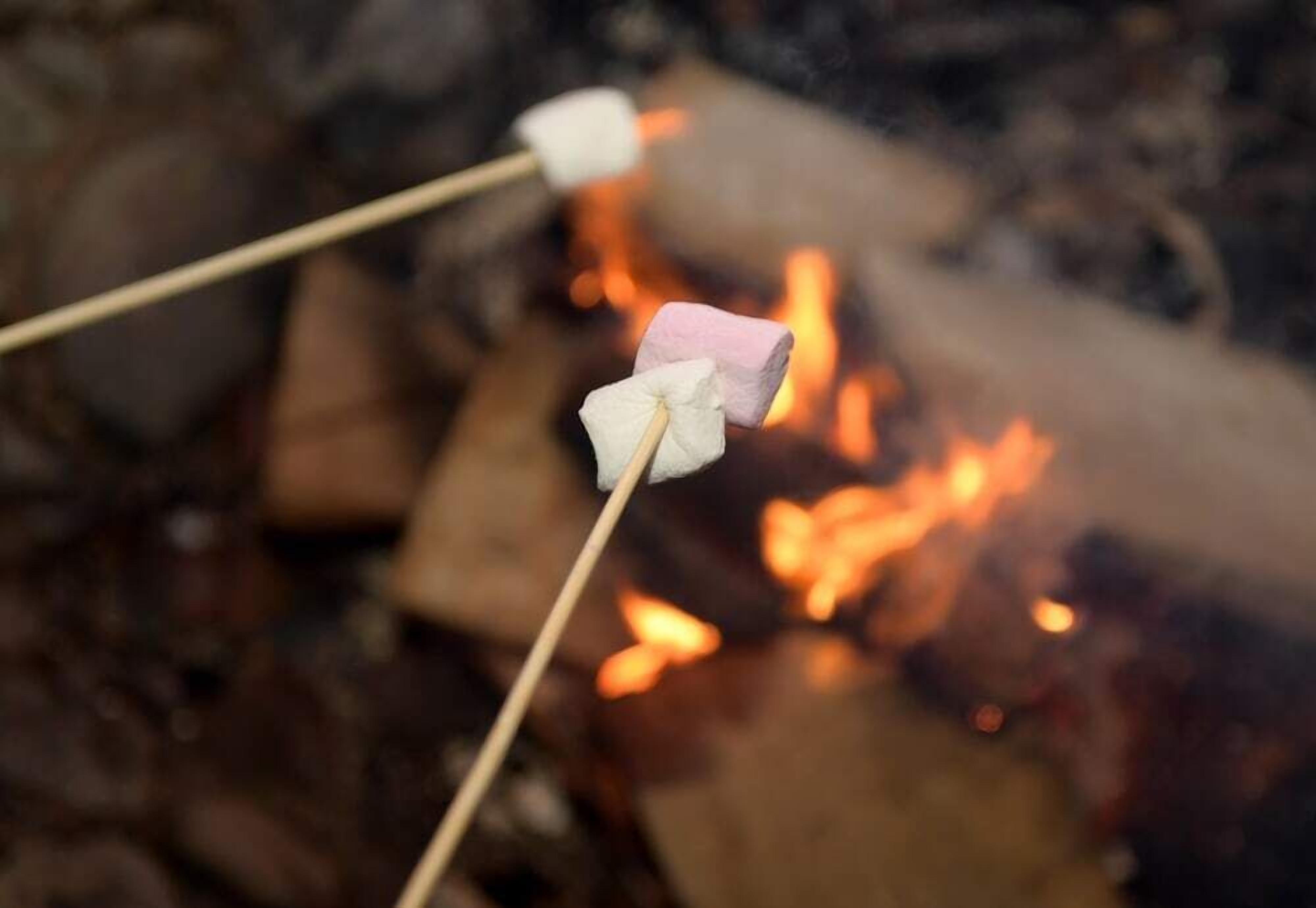 餐饮