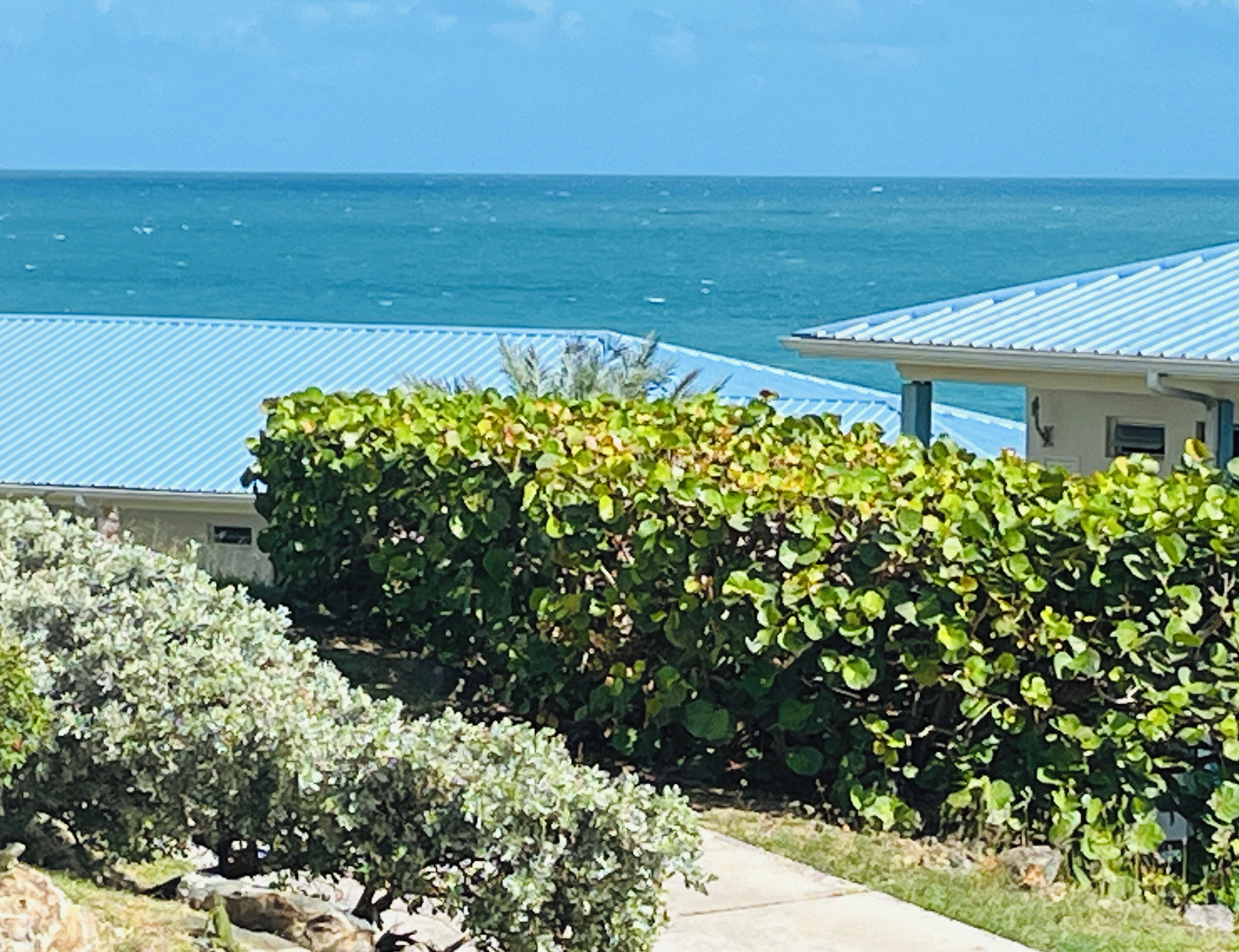 A coastal property with a view of the ocean, a covered patio, and a well-maintained hedge.