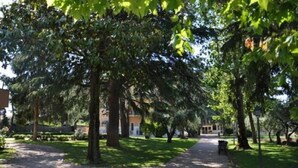 Exterior - villa maria park (Albano Laziale)