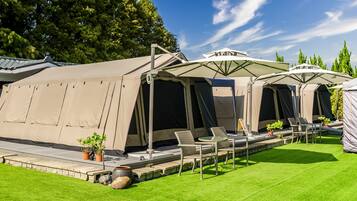 Um camping com várias tendas, área de estar ao ar livre e plantas em vasos.