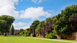 Une zone herbeuse bien entretenue, avec un sentier, entourée d’arbres luxuriants et d’un mur de pierre.