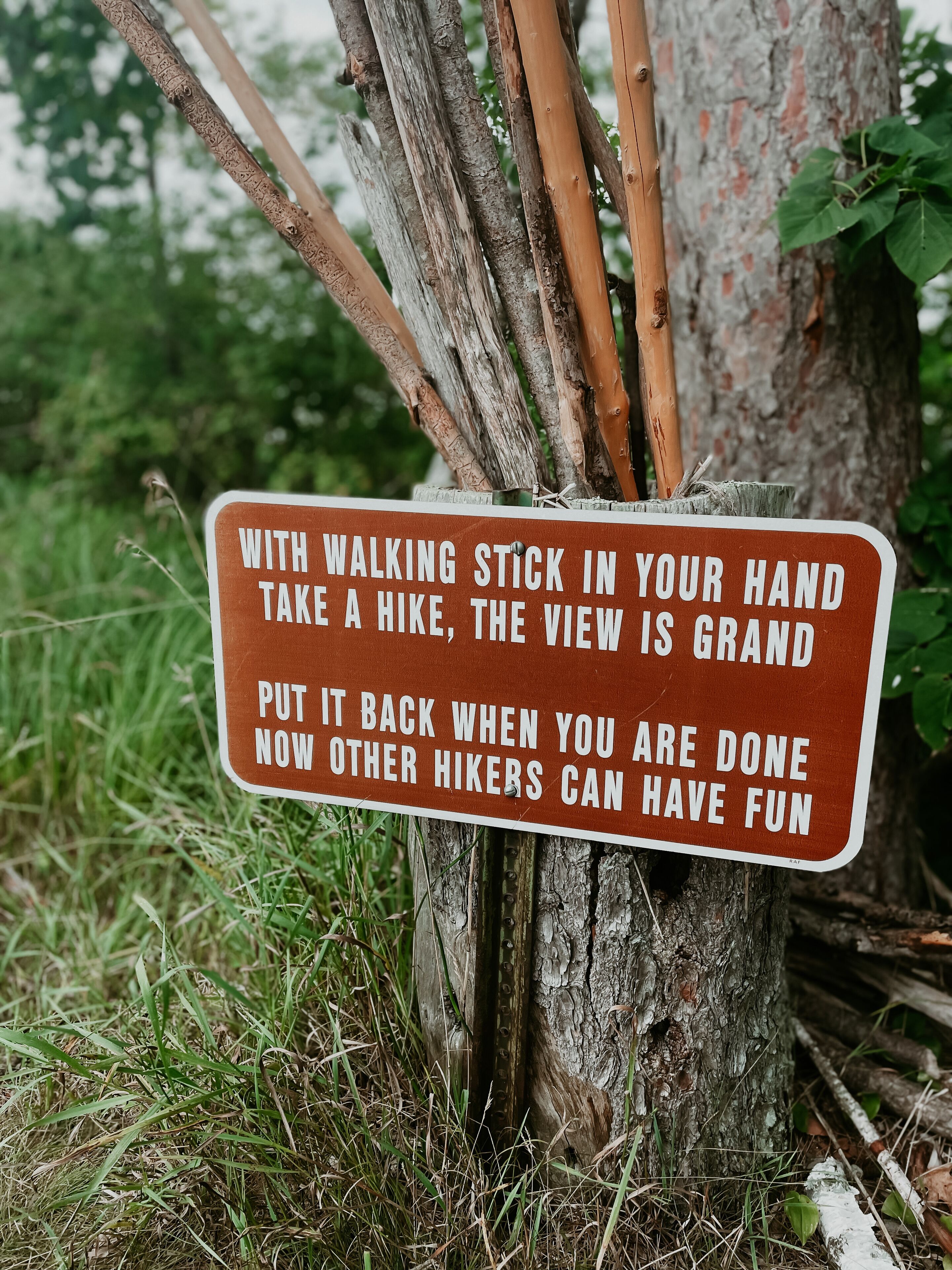 A sign with a walking stick attached to a tree.