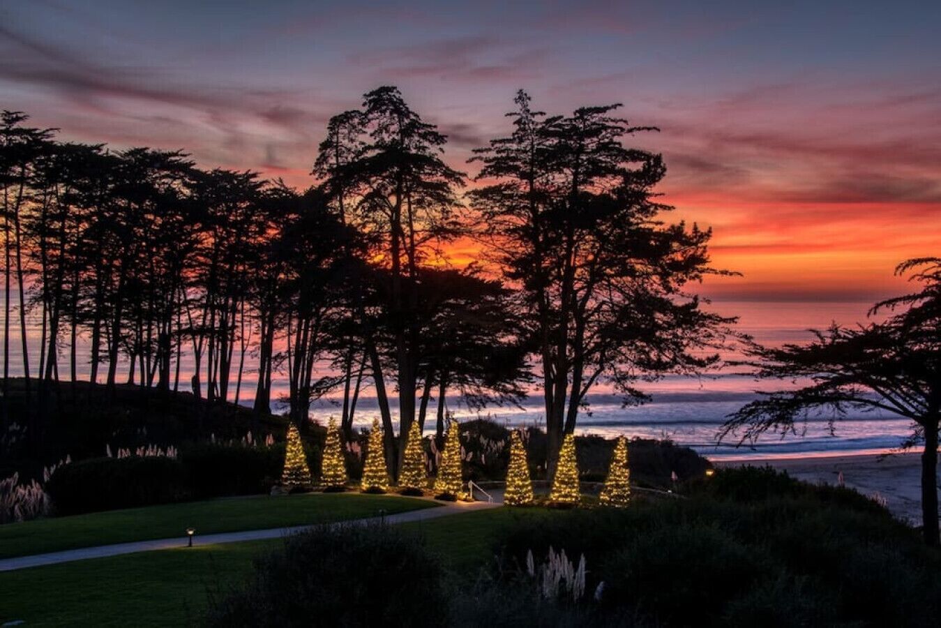 A coastal landscape with trees and illuminated Christmas trees at sunset.