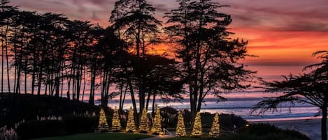 A coastal landscape with trees and illuminated Christmas trees at sunset.