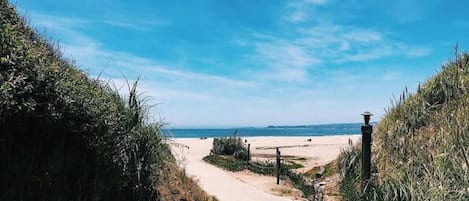 Nära stranden