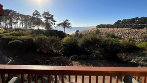 A coastal view with a clear sky, a beach, and a row of houses. - Spectacular Ocean View - Heated 80° Pool - Seascape (Aptos)