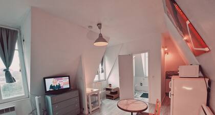 Location saisonniÚre, meublée, appartement type studio à SÚvres