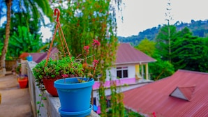A balcony with potted plants and a view of a house with a red roof. - Lushoto Views Cottage (Lushoto)